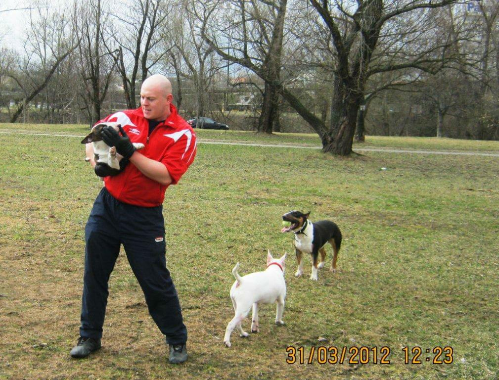 Obrazek