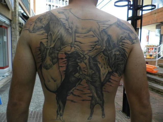 Obrazek