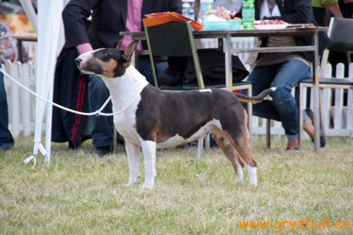 Obrazek