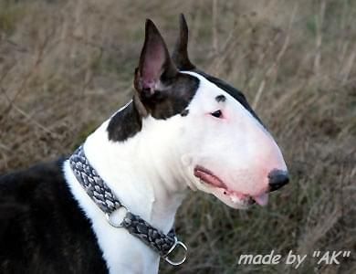 Obrazek