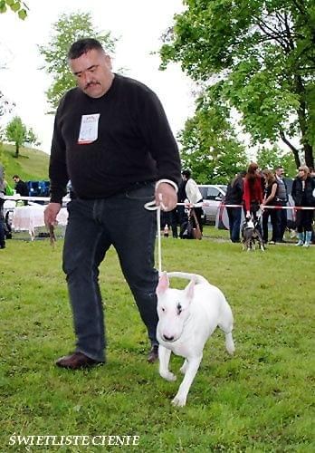 Obrazek