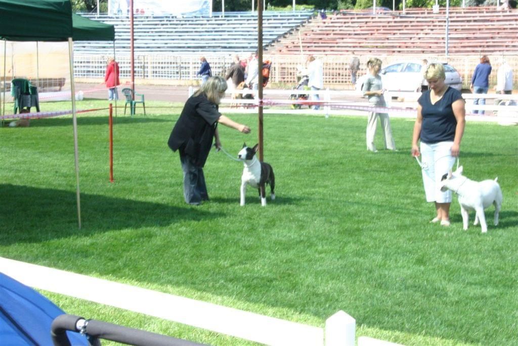Obrazek