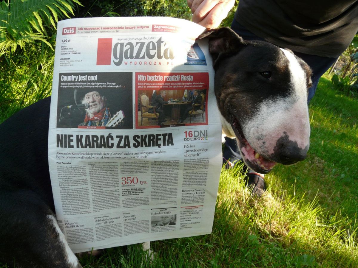 Obrazek