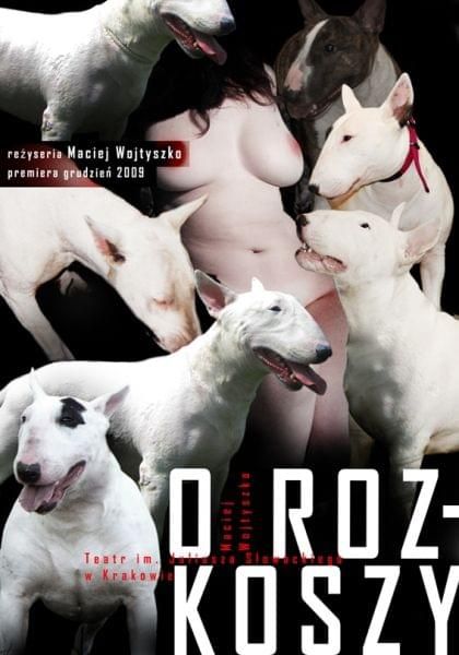 Obrazek